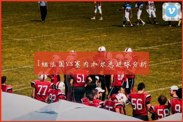 I组法国vs塞内加尔总进球分析