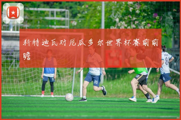 科特迪瓦对厄瓜多尔世界杯赛前前瞻