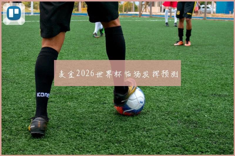 麦金2026世界杯临场发挥预测