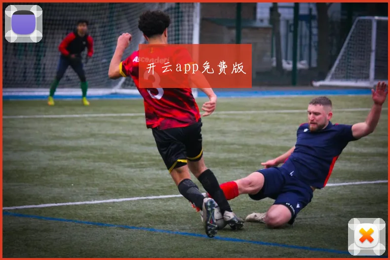开云app免费版