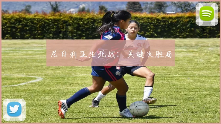 尼日利亚生死战：关键决胜局