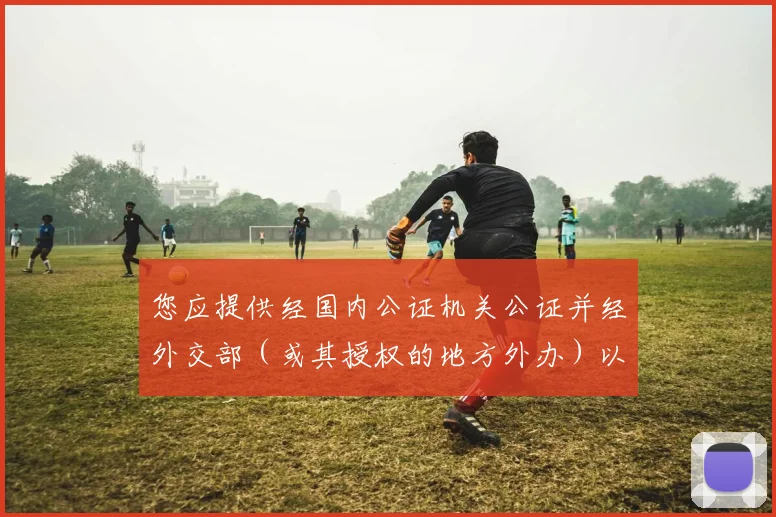 您应提供经国内公证机关公证并经外交部（或其授权的地方外办）以及有关国家驻华使、领馆认证的授权委托书