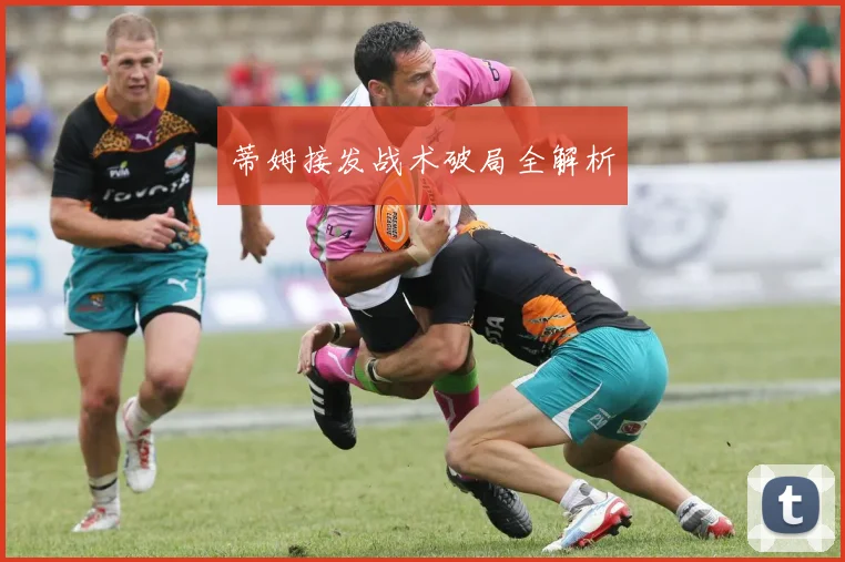 蒂姆接发战术破局全解析