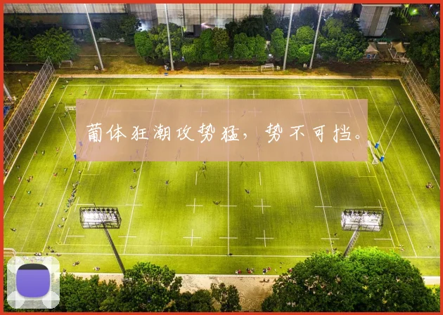 葡体狂潮攻势猛，势不可挡。