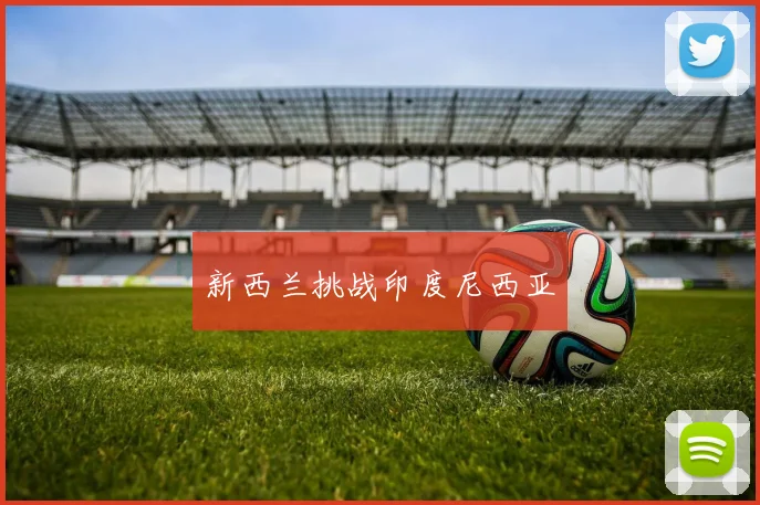 新西兰挑战印度尼西亚