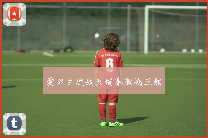 爱尔兰迎战柬埔寨激战正酣