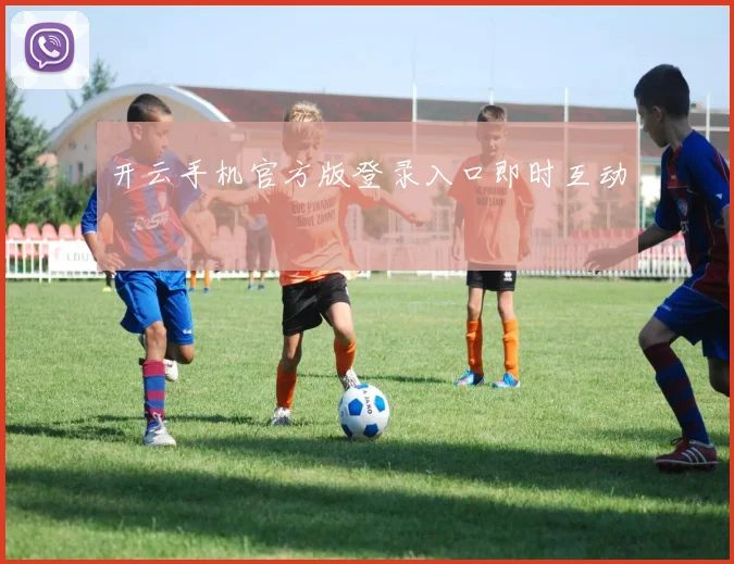 开云手机官方版登录入口即时互动