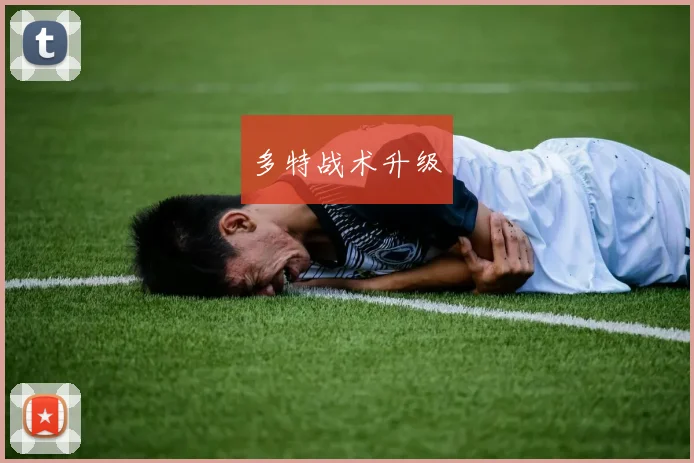 多特战术升级