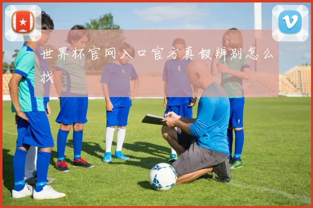世界杯官网入口官方真假辨别怎么找