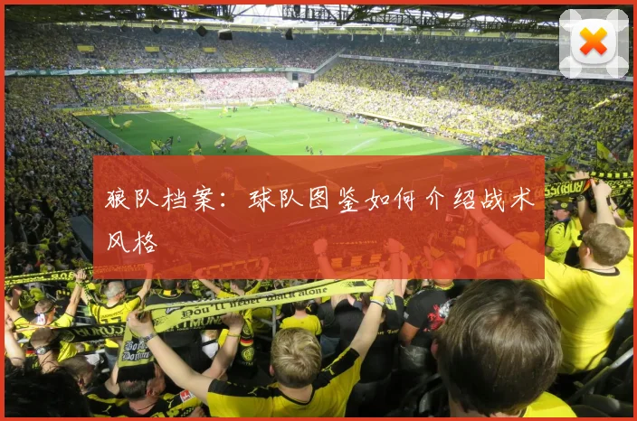 狼队档案:球队图鉴如何介绍战术风格